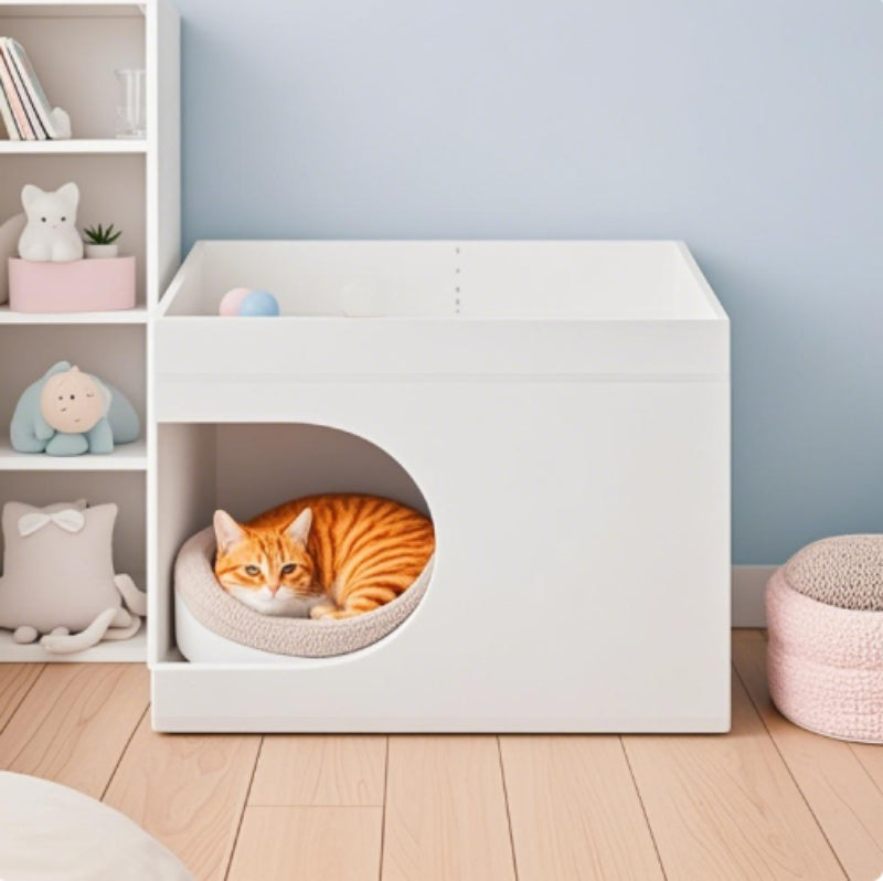 Small And Medium-sized Multi-functional Cat Stations