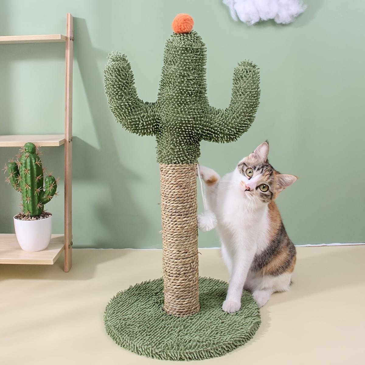 Indoor Cats Fun Pet Supplies Good For Play And Exercise