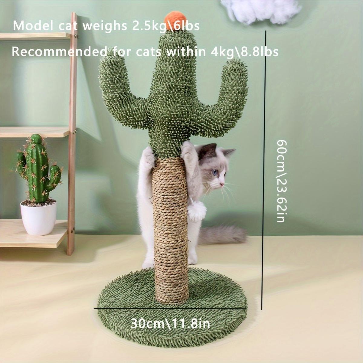 Indoor Cats Fun Pet Supplies Good For Play And Exercise