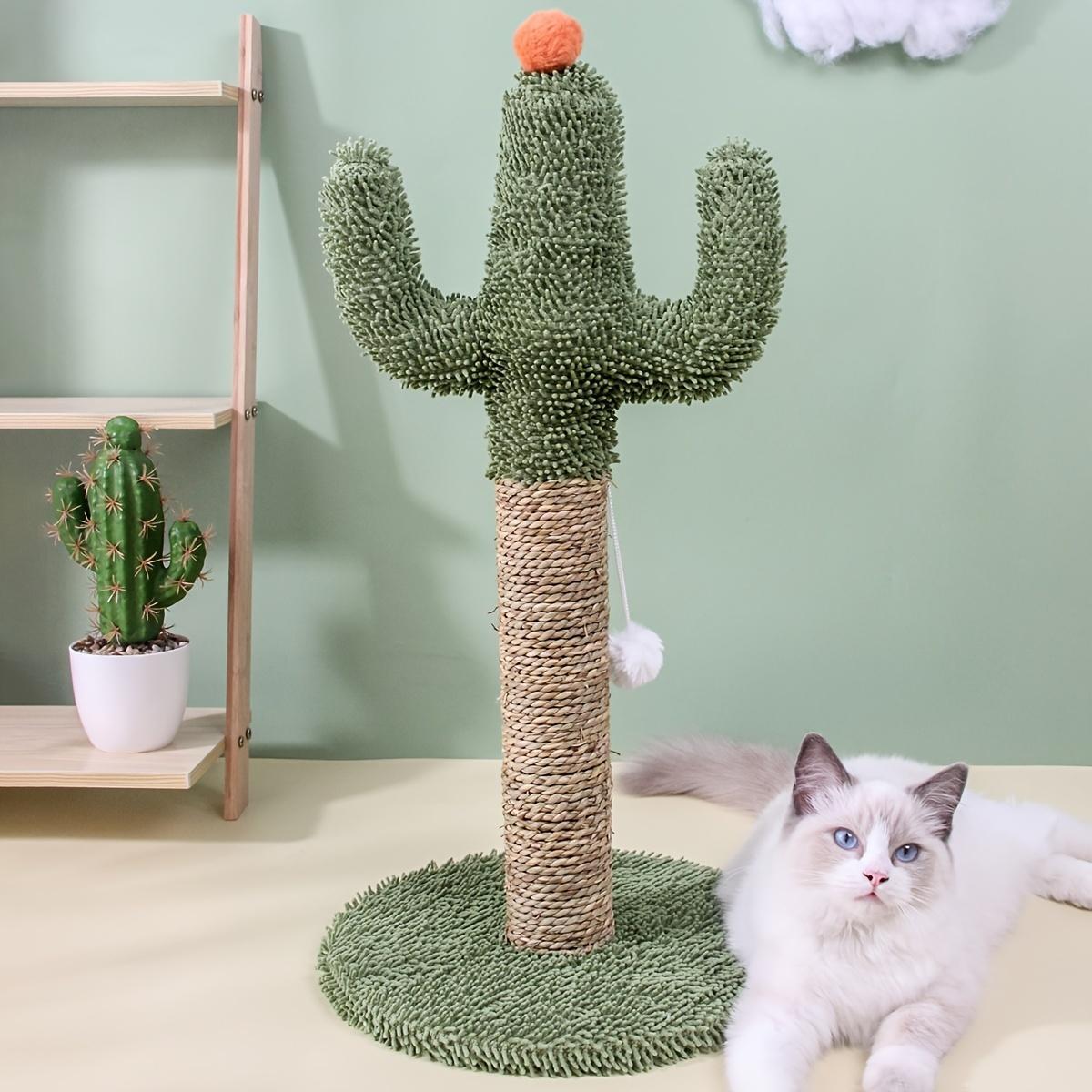 Indoor Cats Fun Pet Supplies Good For Play And Exercise