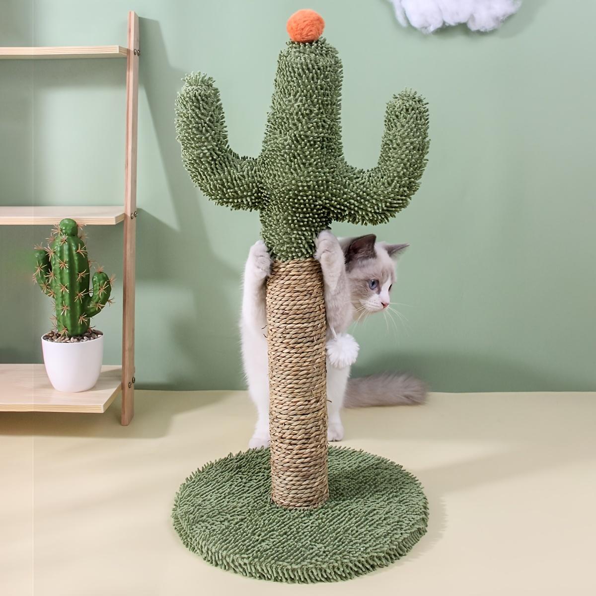 Indoor Cats Fun Pet Supplies Good For Play And Exercise