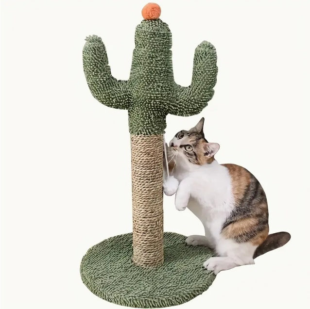 Beautiful Interactive Cactus Cat Toy