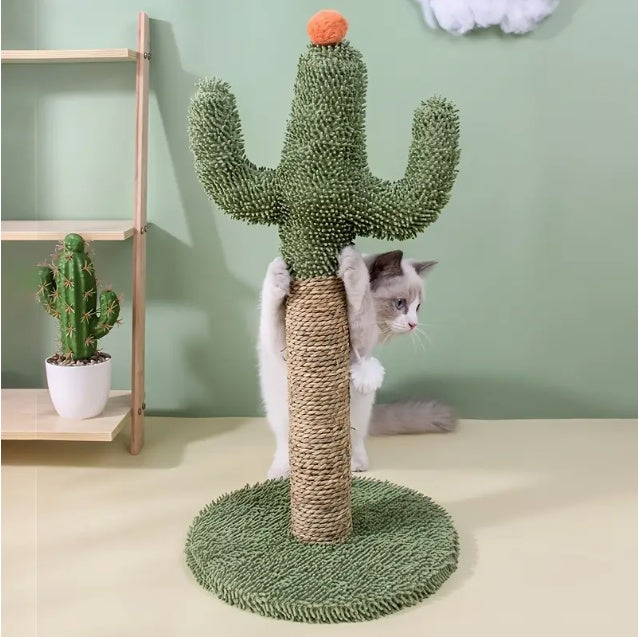 Beautiful Interactive Cactus Cat Toy