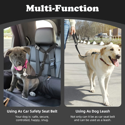 The Two - Piece Dog Leash Set Is Made Of Wear -