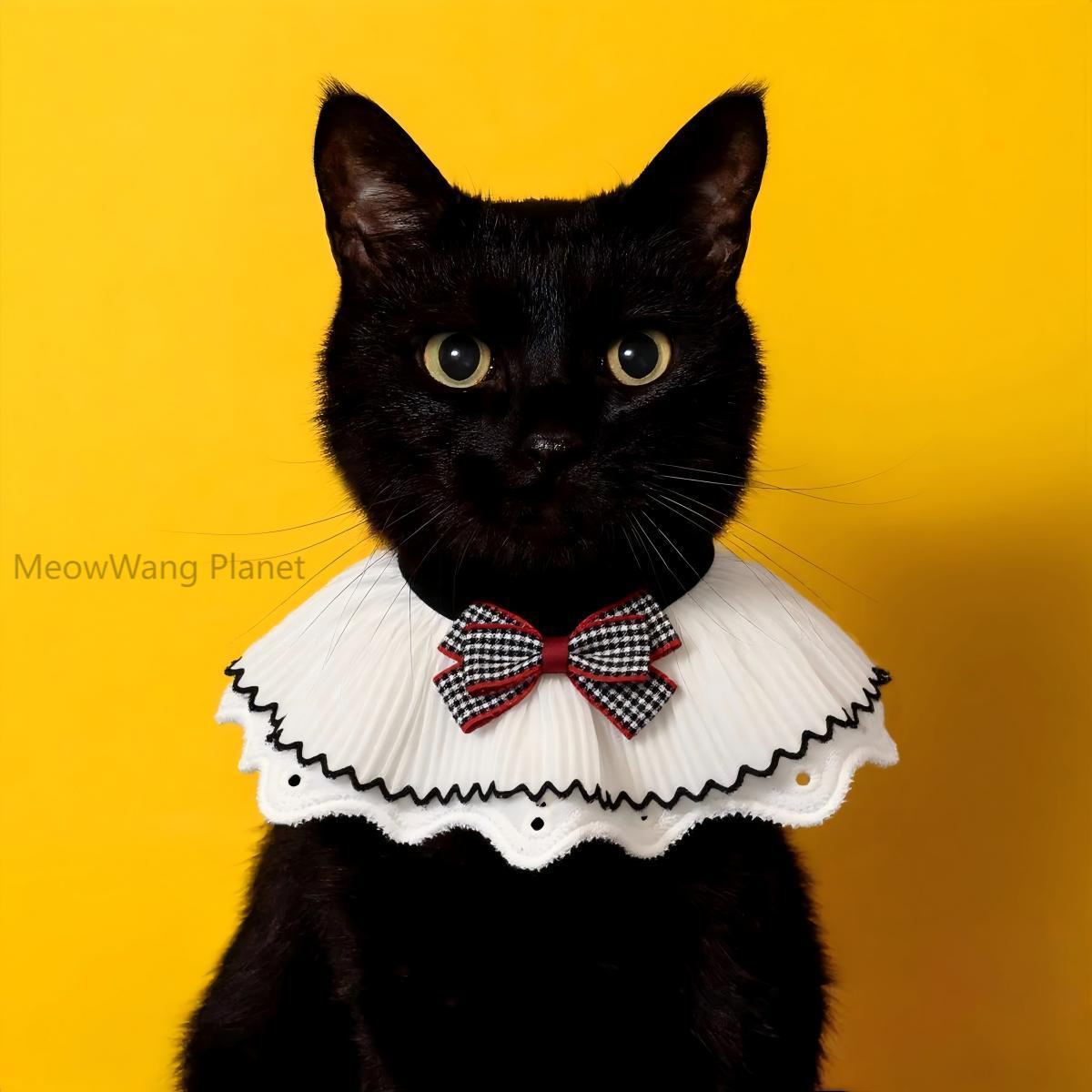 Lace Bow Pet Collar Elegant Neck Accessory For Cats Small Dogs Handcrafted Bowtie Luxury Pet Gift